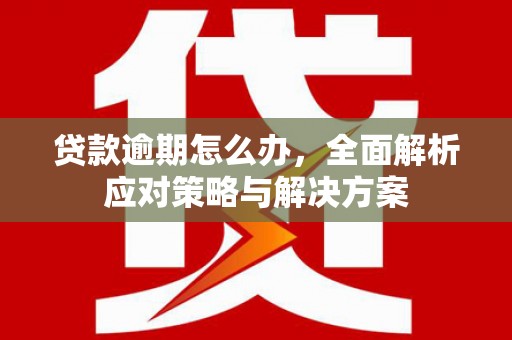 聂荣贷款逾期怎么办，全面解析应对策略与解决方案