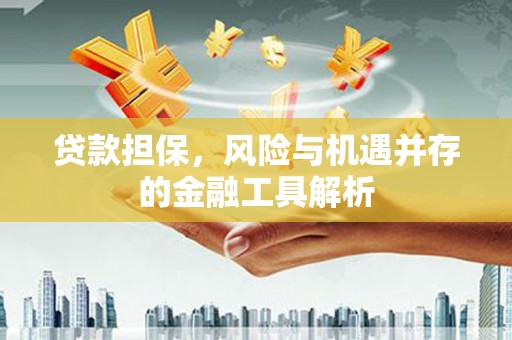 聂荣贷款担保，风险与机遇并存的金融工具解析
