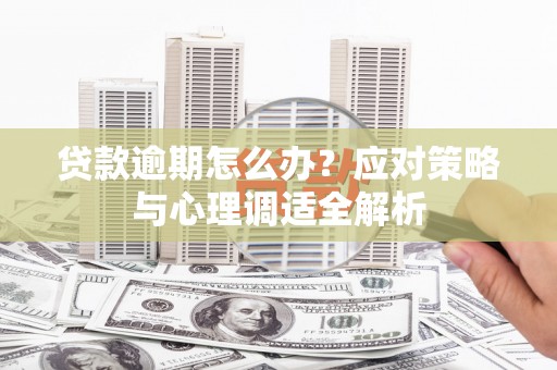 聂荣贷款逾期怎么办？应对策略与心理调适全解析