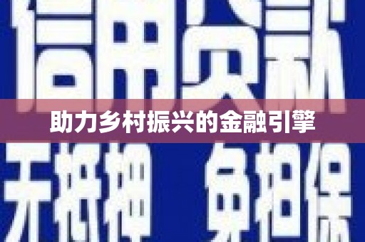 聂荣助力乡村振兴的金融引擎