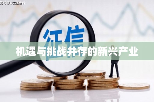 聂荣机遇与挑战并存的新兴产业