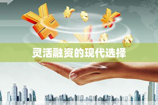 聂荣灵活融资的现代选择