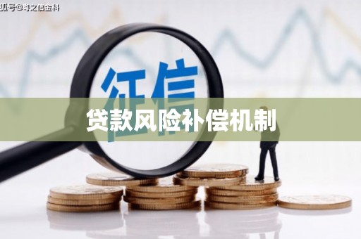 聂荣贷款风险补偿机制