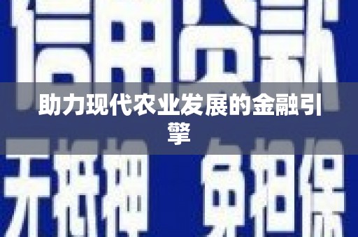 聂荣助力现代农业发展的金融引擎