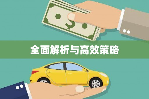 聂荣全面解析与高效策略
