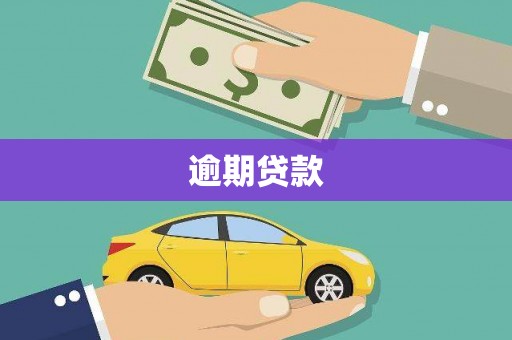 聂荣逾期贷款