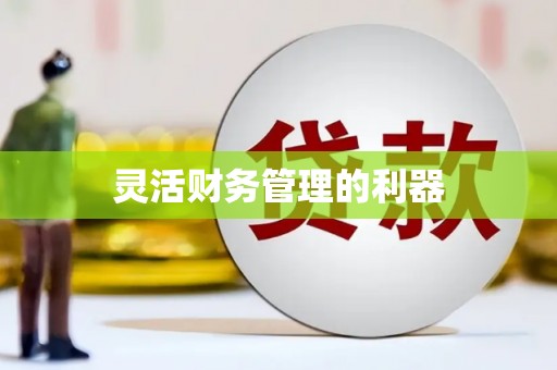 聂荣灵活财务管理的利器