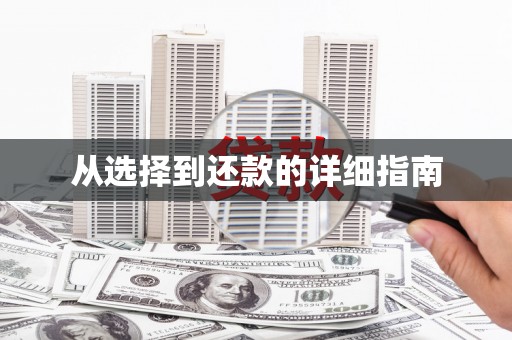 聂荣从选择到还款的详细指南