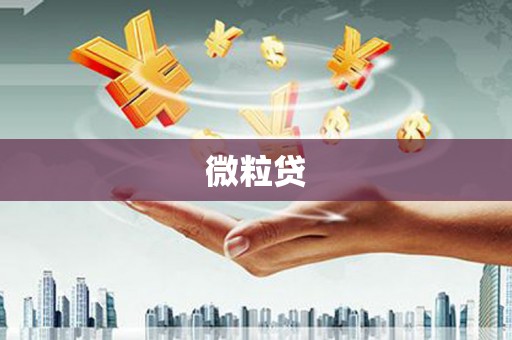 聂荣微粒贷
