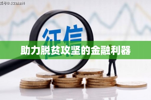 聂荣助力脱贫攻坚的金融利器