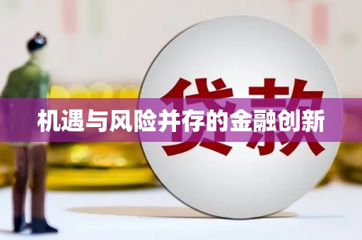 聂荣机遇与风险并存的金融创新