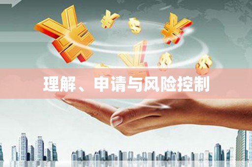 聂荣理解、申请与风险控制