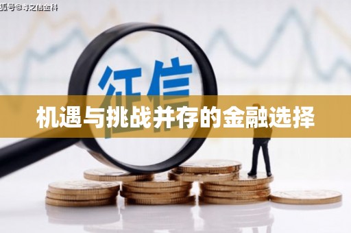 聂荣机遇与挑战并存的金融选择