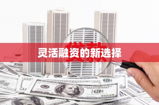 聂荣灵活融资的新选择