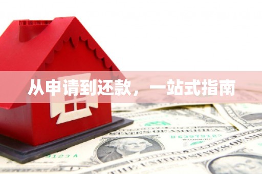 聂荣从申请到还款，一站式指南