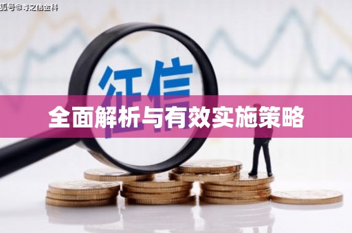 聂荣全面解析与有效实施策略