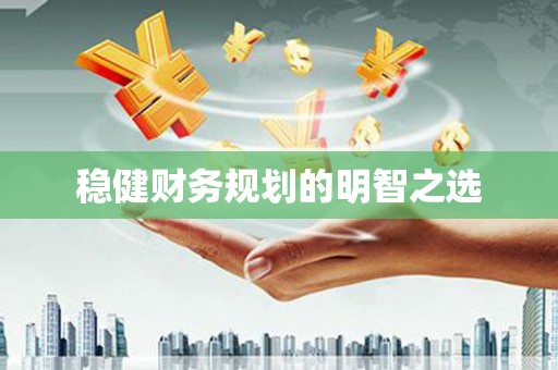 聂荣稳健财务规划的明智之选