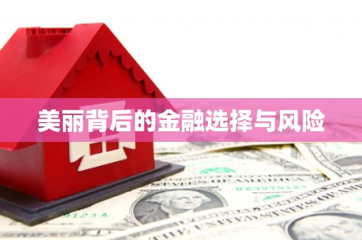 聂荣美丽背后的金融选择与风险