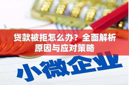 聂荣贷款被拒怎么办？全面解析原因与应对策略