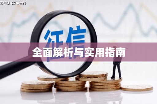 聂荣全面解析与实用指南