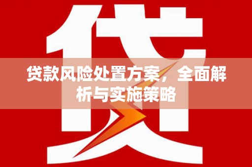 聂荣贷款风险处置方案，全面解析与实施策略