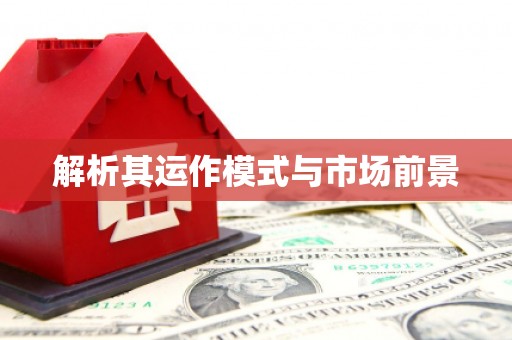 聂荣解析其运作模式与市场前景