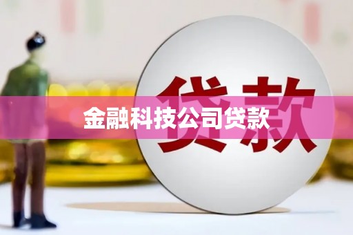 聂荣金融科技公司贷款