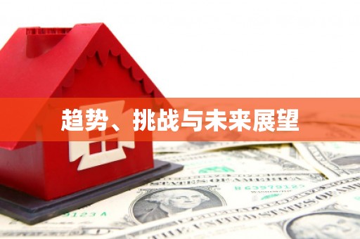 聂荣趋势、挑战与未来展望