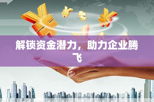 聂荣解锁资金潜力，助力企业腾飞