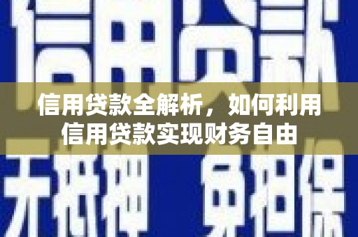 聂荣信用贷款全解析，如何利用信用贷款实现财务自由