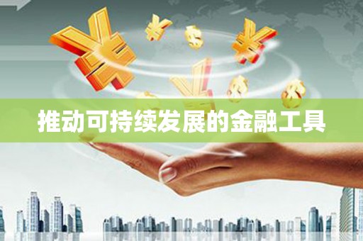 聂荣推动可持续发展的金融工具