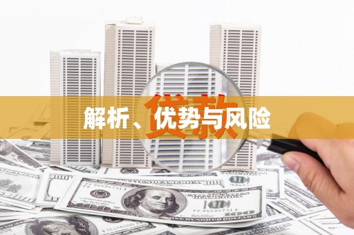 聂荣解析、优势与风险