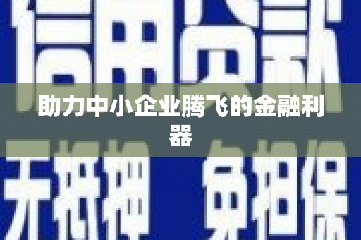 聂荣助力中小企业腾飞的金融利器