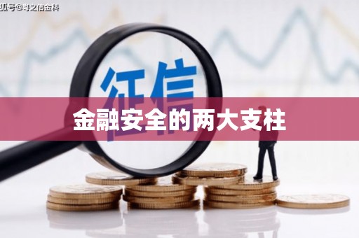 聂荣金融安全的两大支柱