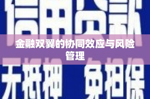 聂荣金融双翼的协同效应与风险管理