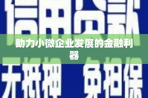 聂荣助力小微企业发展的金融利器