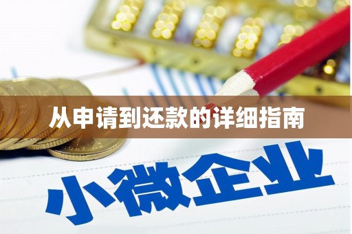 聂荣从申请到还款的详细指南