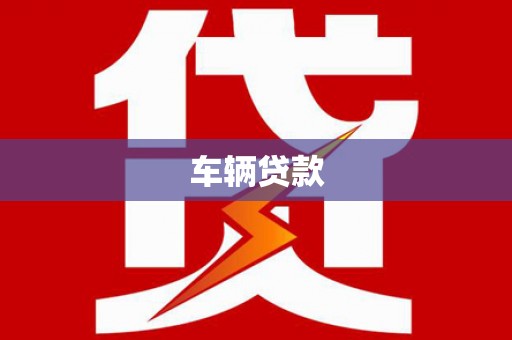 聂荣车辆贷款