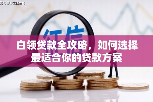 聂荣白领贷款全攻略，如何选择最适合你的贷款方案