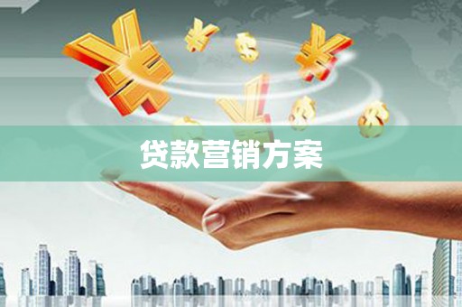 聂荣贷款营销方案