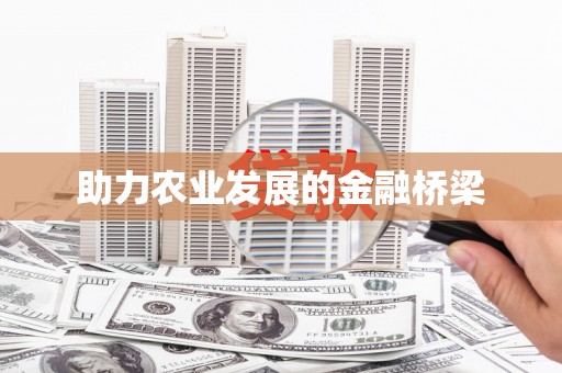 聂荣助力农业发展的金融桥梁
