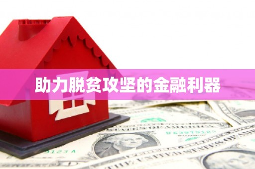 聂荣助力脱贫攻坚的金融利器