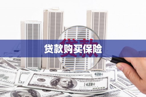 聂荣贷款购买保险