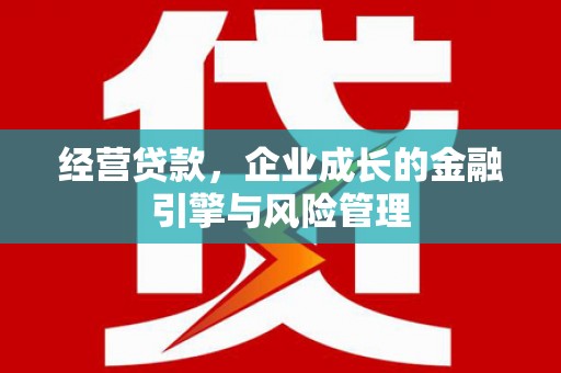 聂荣经营贷款，企业成长的金融引擎与风险管理
