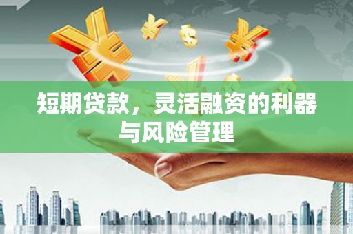 聂荣短期贷款，灵活融资的利器与风险管理
