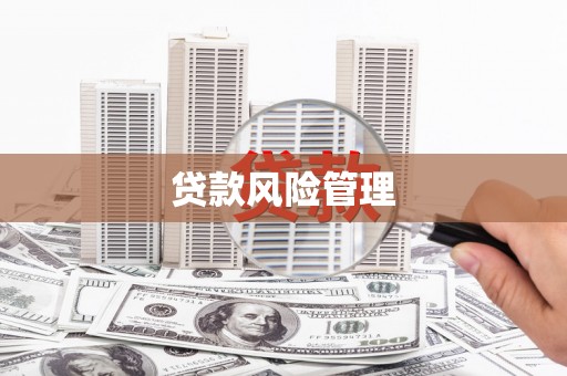 聂荣贷款风险管理