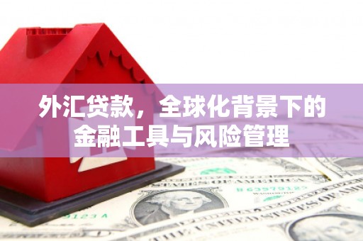 聂荣外汇贷款，全球化背景下的金融工具与风险管理