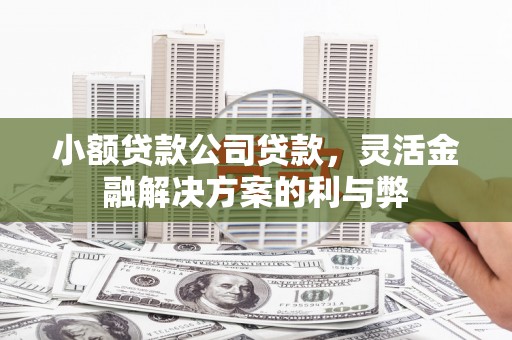 聂荣小额贷款公司贷款，灵活金融解决方案的利与弊