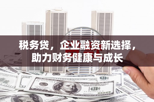 聂荣税务贷，企业融资新选择，助力财务健康与成长
