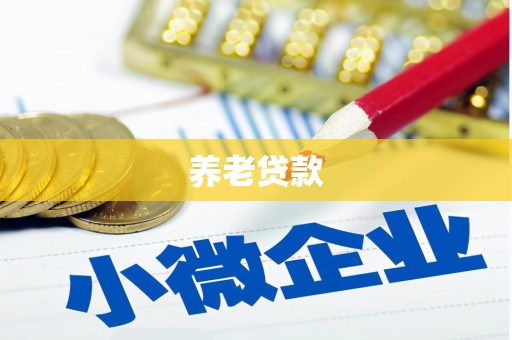 聂荣养老贷款